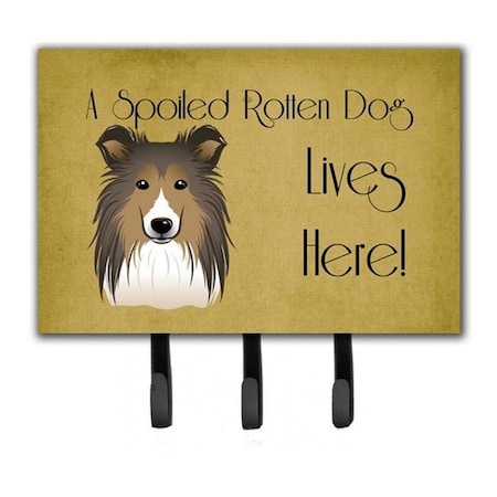 Carolines Treasures Carolines Treasures BB1490TH68 Sheltie Spoiled Dog Lives Here Leash & Key Holder BB1490TH68